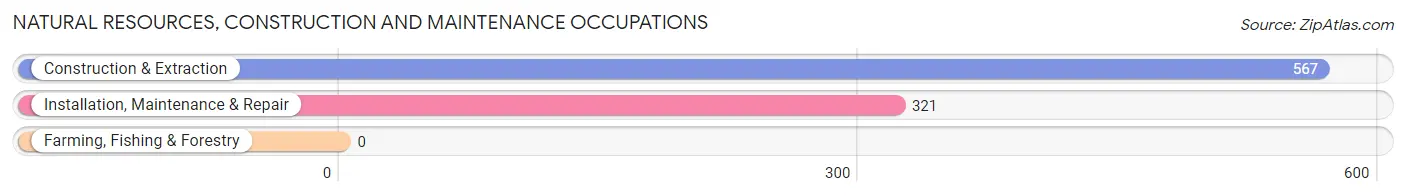 Natural Resources, Construction and Maintenance Occupations in Lochearn