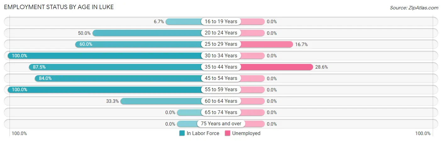 Employment Status by Age in Luke