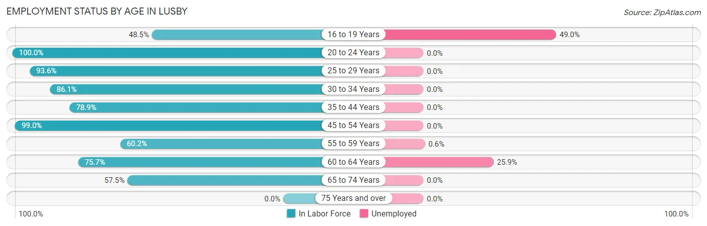 Employment Status by Age in Lusby