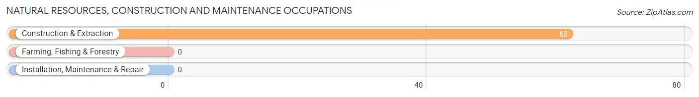 Natural Resources, Construction and Maintenance Occupations in Mapleville