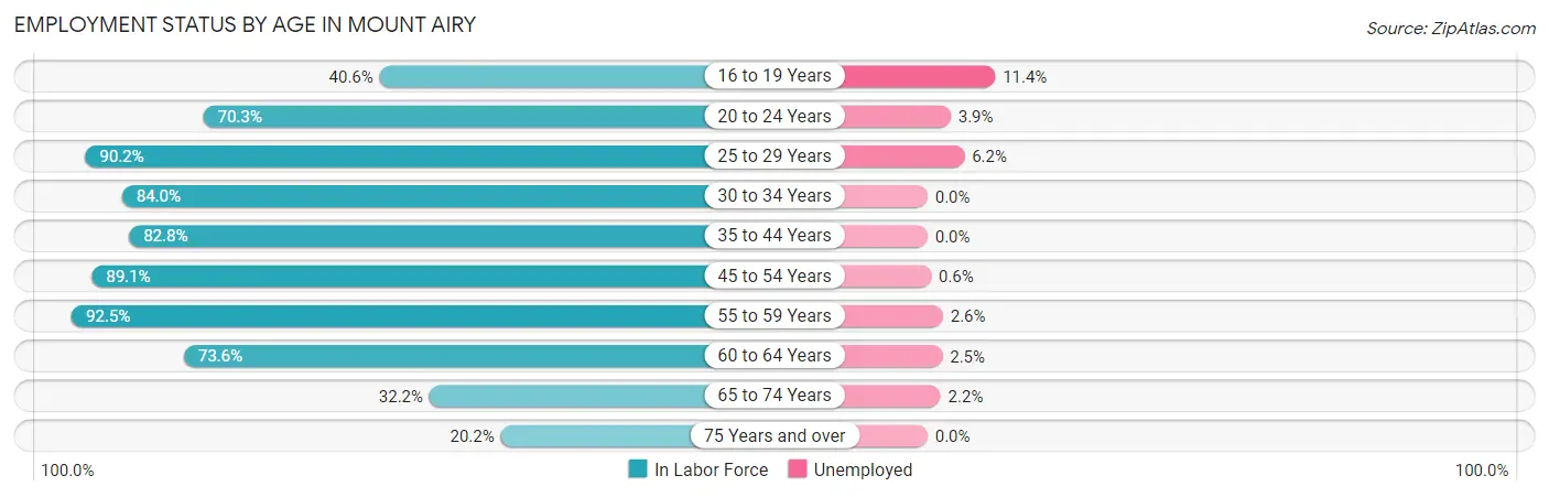 Employment Status by Age in Mount Airy