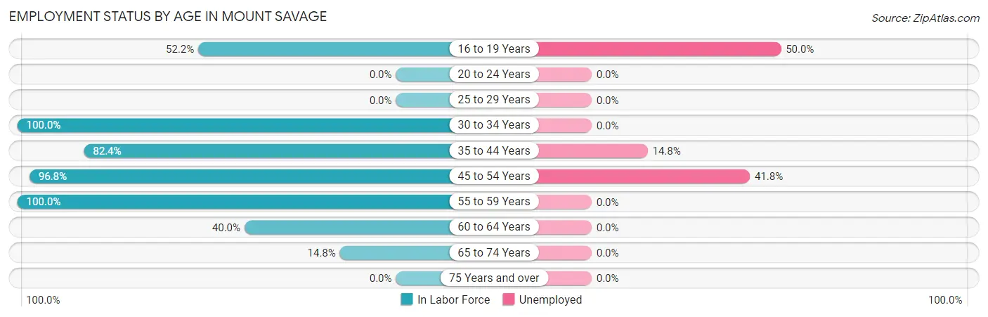 Employment Status by Age in Mount Savage
