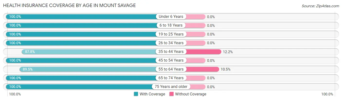 Health Insurance Coverage by Age in Mount Savage