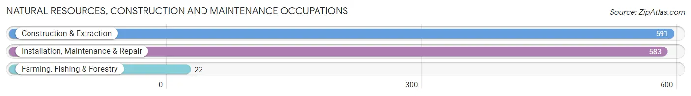 Natural Resources, Construction and Maintenance Occupations in Parkville