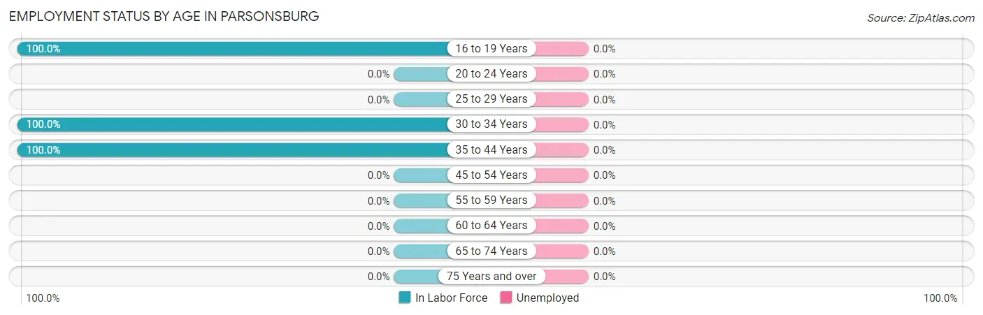 Employment Status by Age in Parsonsburg