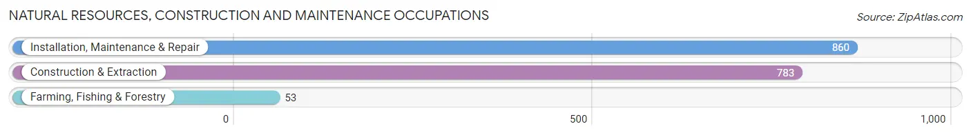 Natural Resources, Construction and Maintenance Occupations in Pasadena