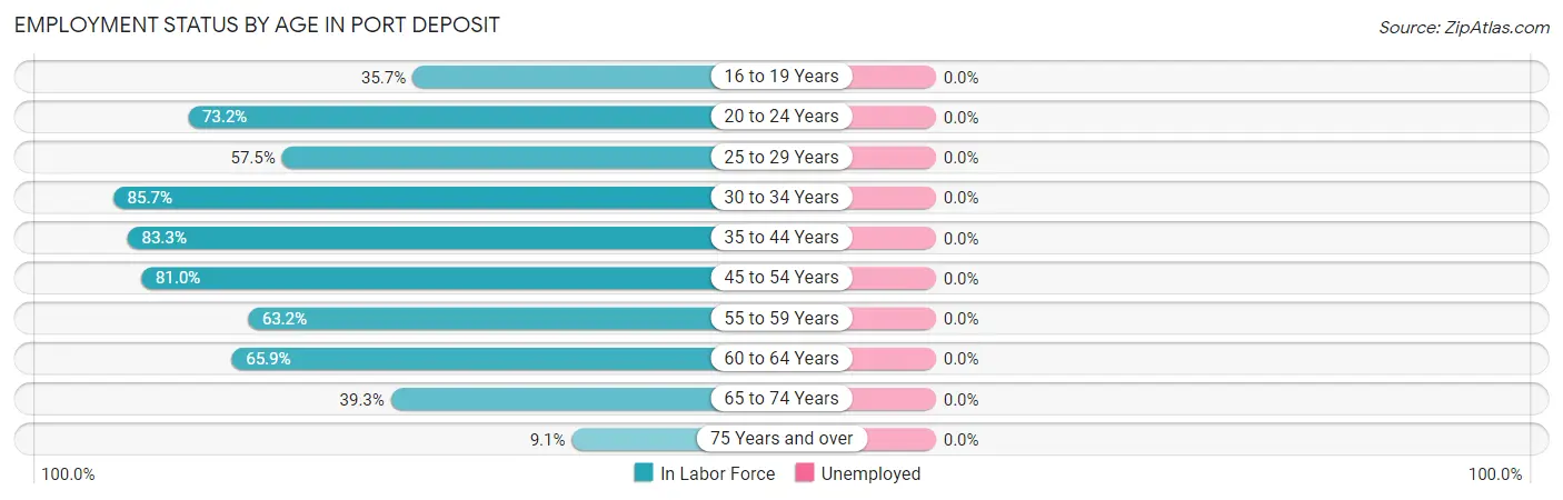 Employment Status by Age in Port Deposit