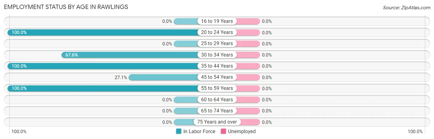 Employment Status by Age in Rawlings
