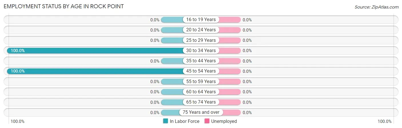 Employment Status by Age in Rock Point