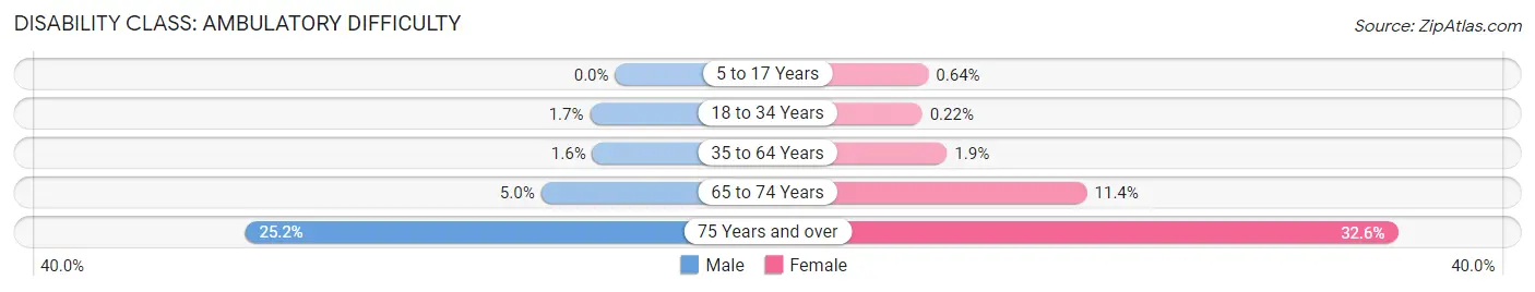 Disability in Rockville: <span>Ambulatory Difficulty</span>