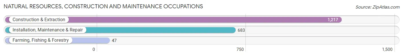 Natural Resources, Construction and Maintenance Occupations in Rockville