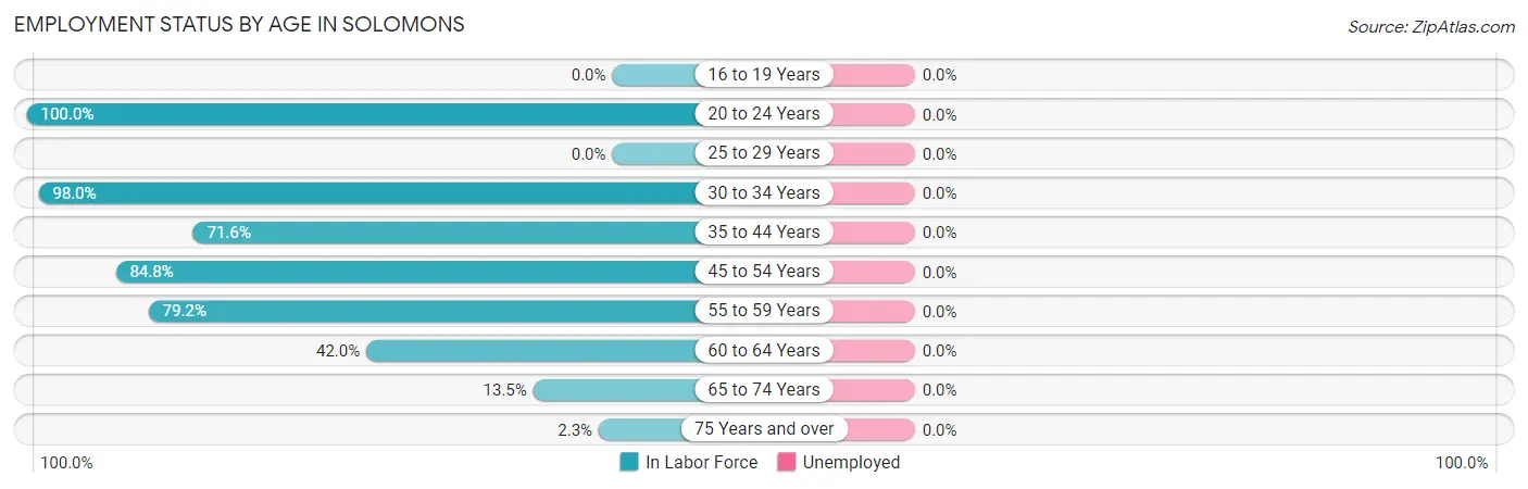 Employment Status by Age in Solomons