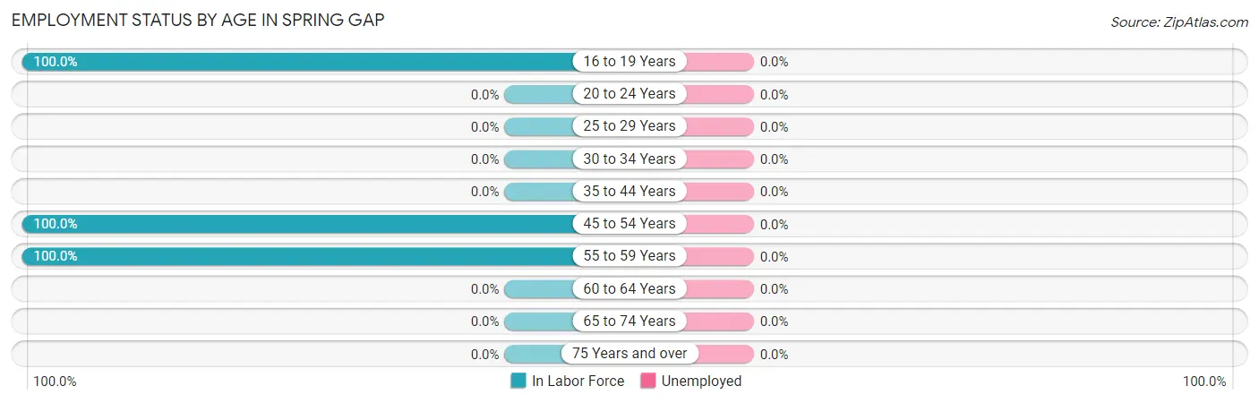 Employment Status by Age in Spring Gap