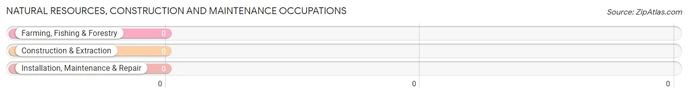 Natural Resources, Construction and Maintenance Occupations in St George Island