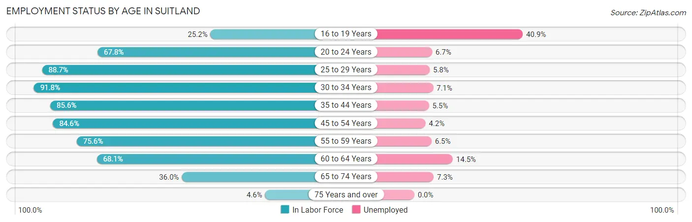 Employment Status by Age in Suitland
