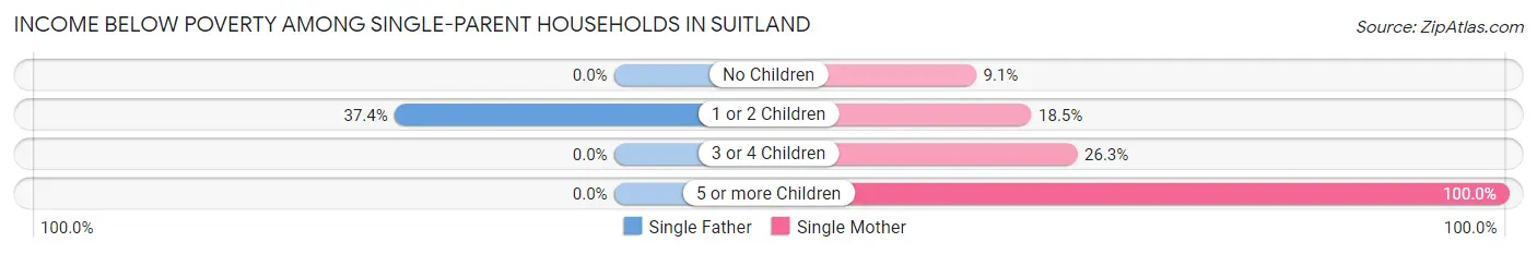 Income Below Poverty Among Single-Parent Households in Suitland