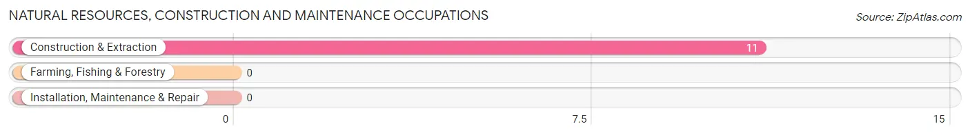 Natural Resources, Construction and Maintenance Occupations in Tall Timbers