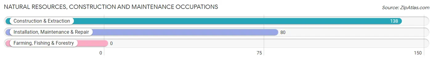 Natural Resources, Construction and Maintenance Occupations in Taneytown