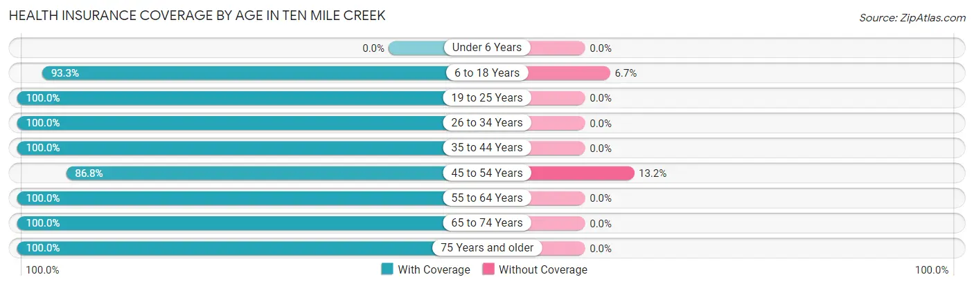 Health Insurance Coverage by Age in Ten Mile Creek