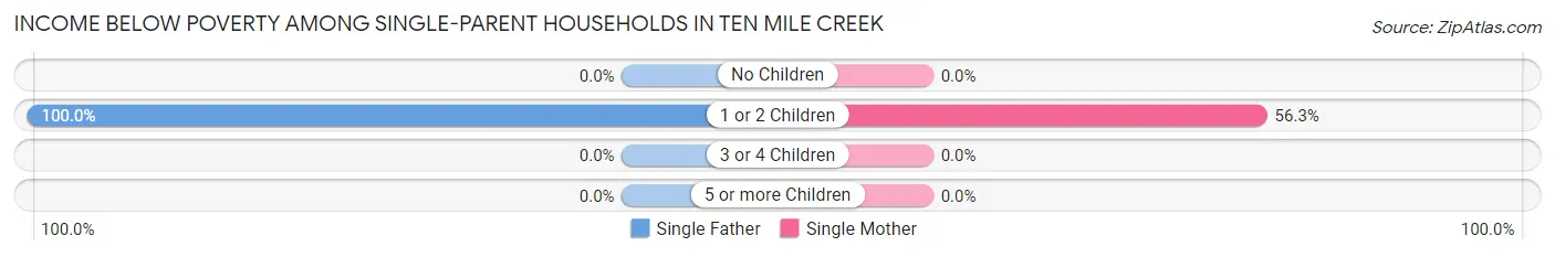 Income Below Poverty Among Single-Parent Households in Ten Mile Creek