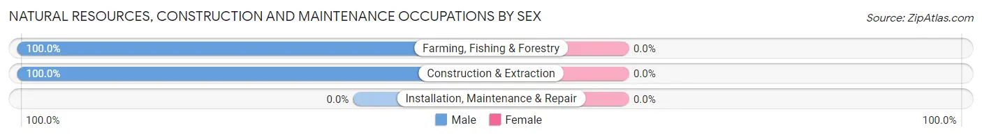 Natural Resources, Construction and Maintenance Occupations by Sex in Tilghman Island