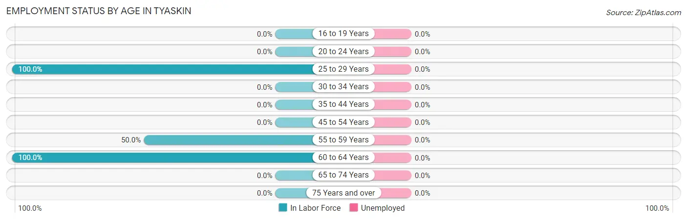 Employment Status by Age in Tyaskin