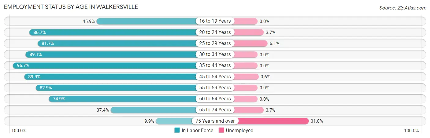 Employment Status by Age in Walkersville