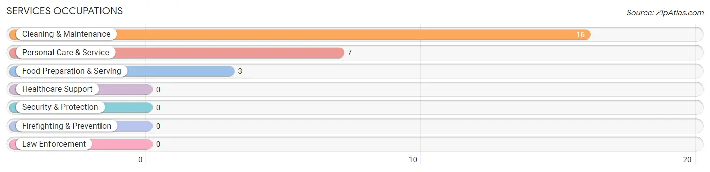 Services Occupations in Washington Grove