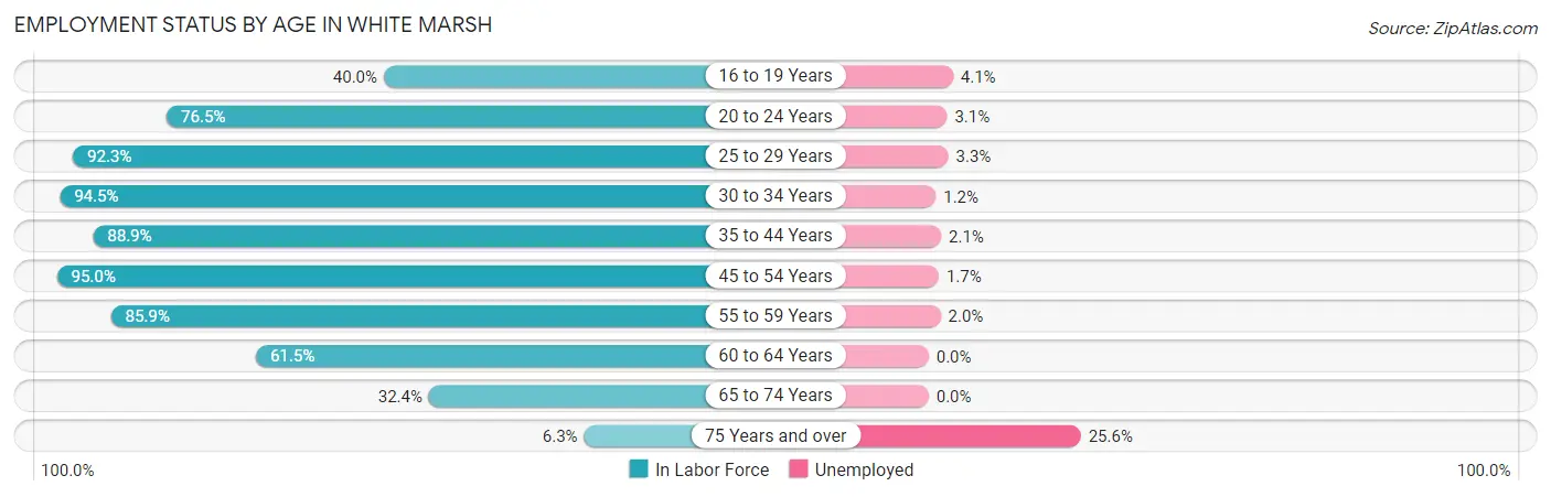Employment Status by Age in White Marsh