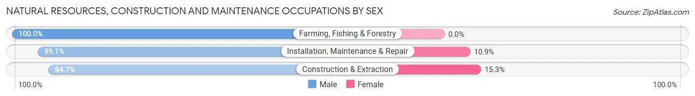 Natural Resources, Construction and Maintenance Occupations by Sex in White Marsh