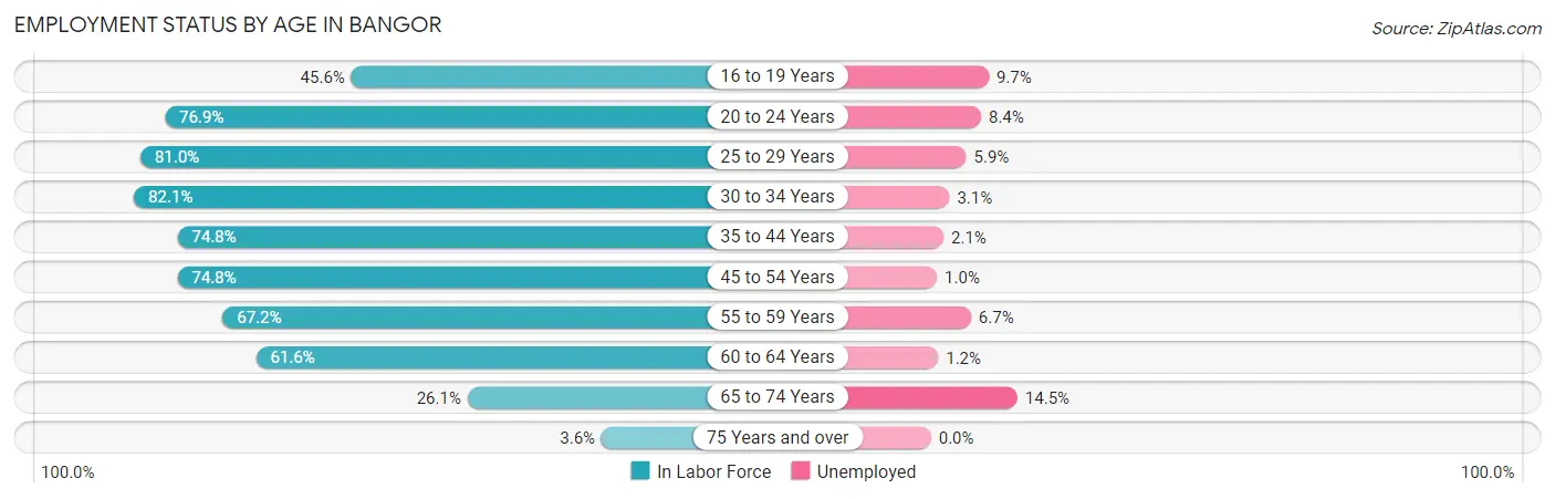 Employment Status by Age in Bangor