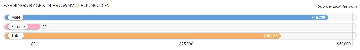 Earnings by Sex in Brownville Junction