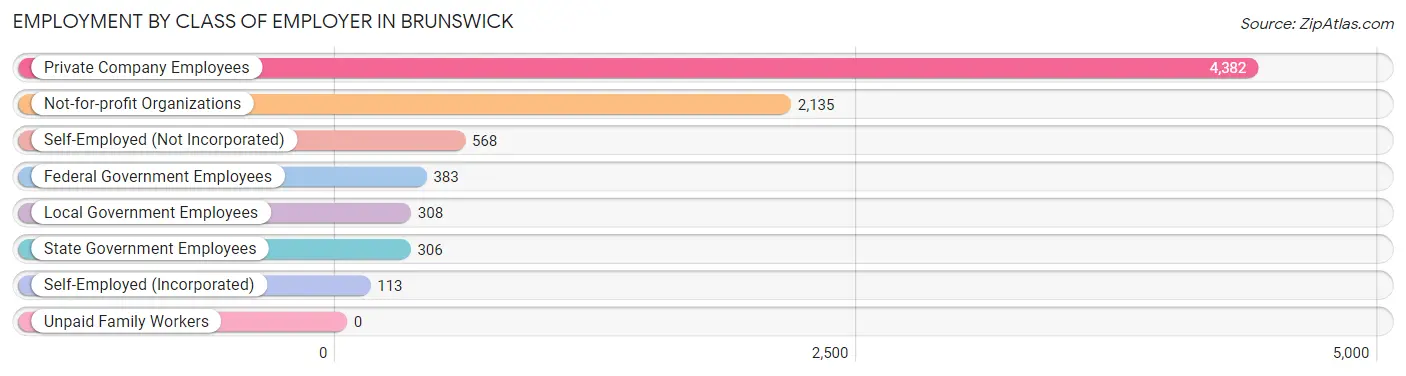 Employment by Class of Employer in Brunswick