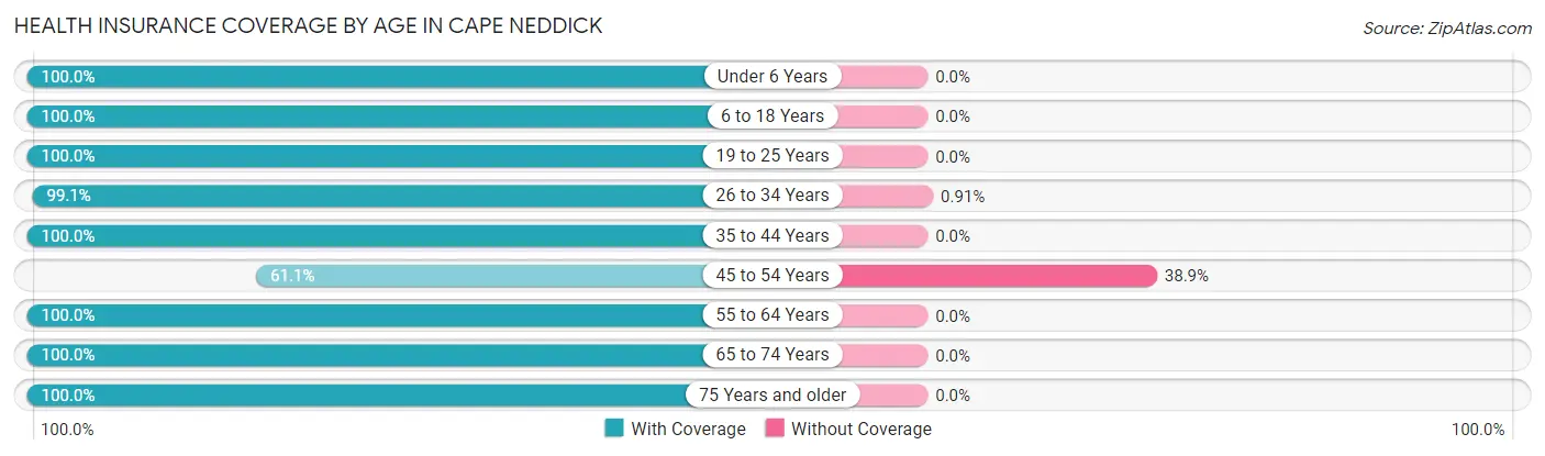 Health Insurance Coverage by Age in Cape Neddick