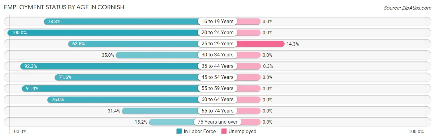 Employment Status by Age in Cornish
