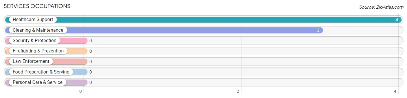 Services Occupations in Eagle Lake