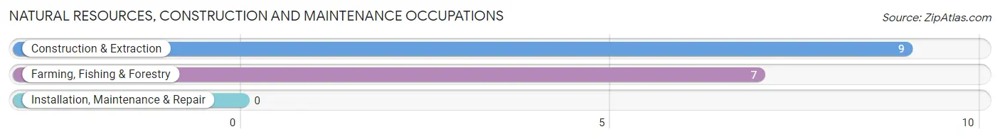 Natural Resources, Construction and Maintenance Occupations in Farmington