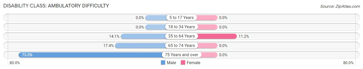 Disability in Fryeburg: <span>Ambulatory Difficulty</span>