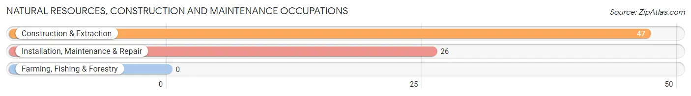 Natural Resources, Construction and Maintenance Occupations in Fryeburg