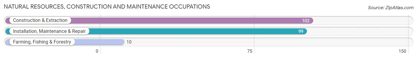 Natural Resources, Construction and Maintenance Occupations in Lake Arrowhead