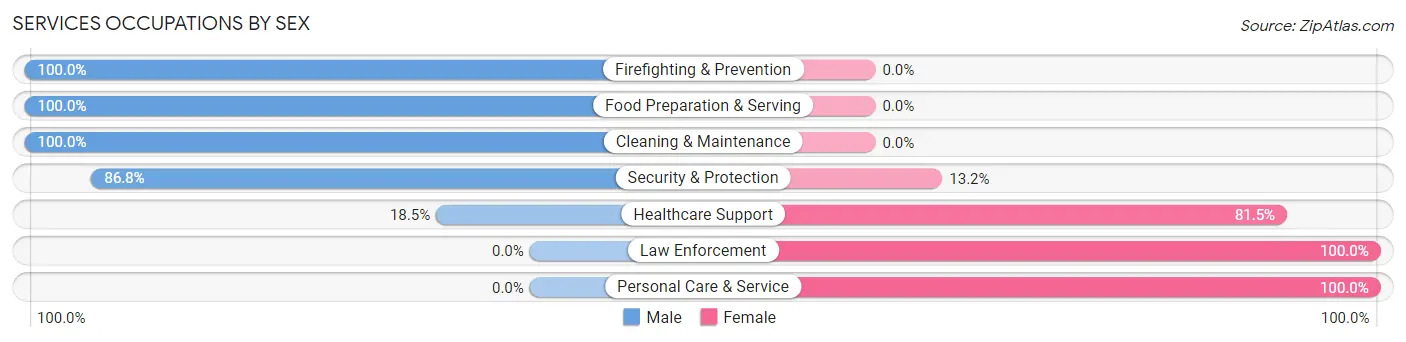 Services Occupations by Sex in Lisbon