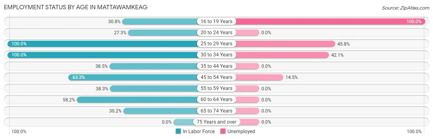 Employment Status by Age in Mattawamkeag