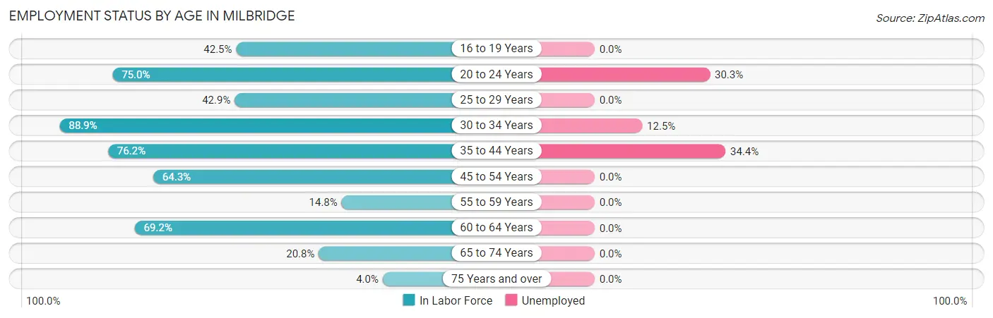 Employment Status by Age in Milbridge