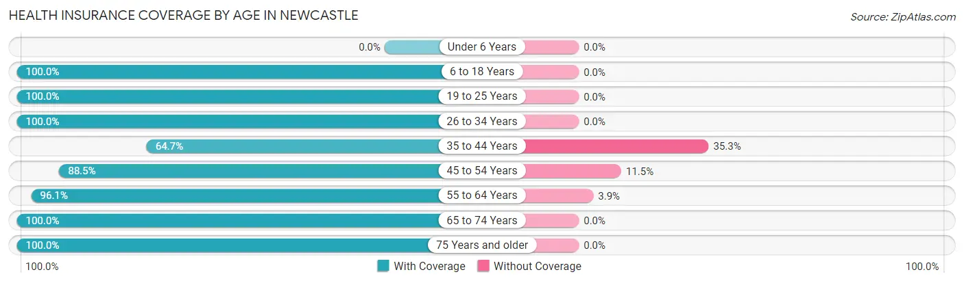 Health Insurance Coverage by Age in Newcastle