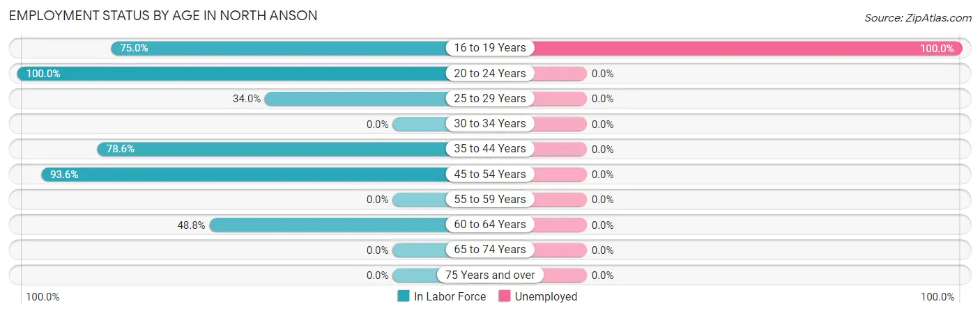 Employment Status by Age in North Anson