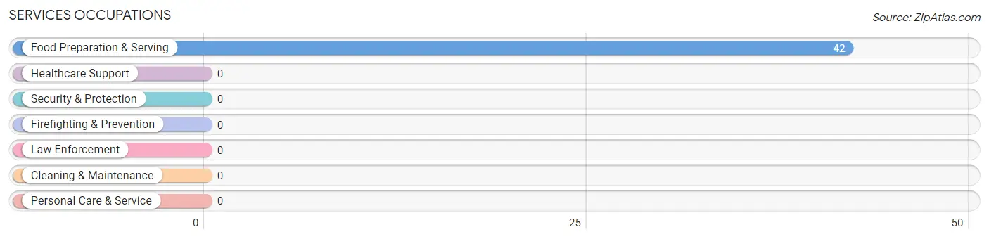 Services Occupations in North Anson