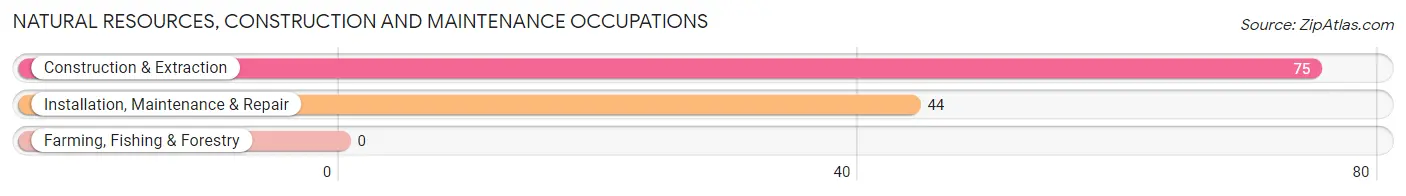 Natural Resources, Construction and Maintenance Occupations in Oak Hill