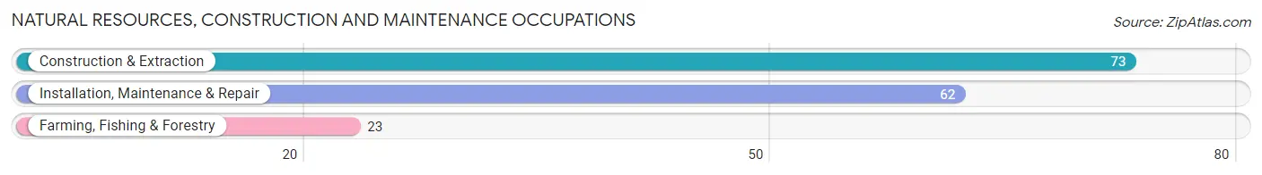 Natural Resources, Construction and Maintenance Occupations in Orono