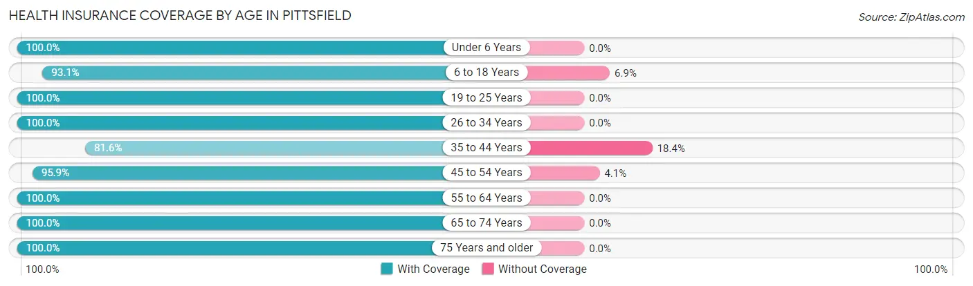 Health Insurance Coverage by Age in Pittsfield