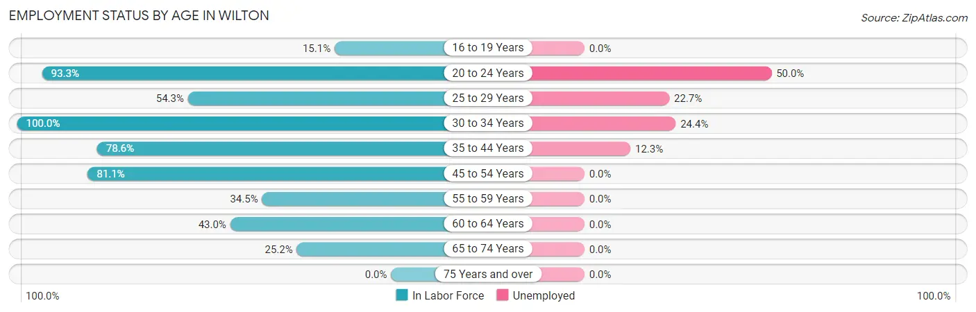 Employment Status by Age in Wilton